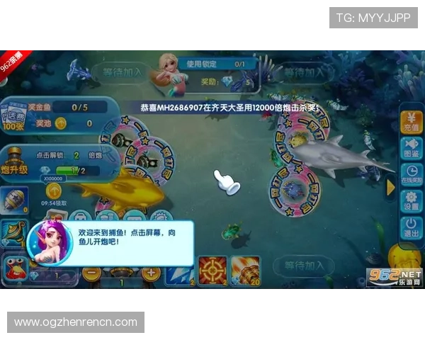 金鲨银鲨飞禽走兽单机版玩家评论与体验分享帮助新手快速上手