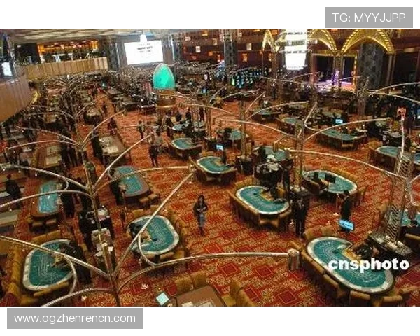 深入探讨澳门不同赌场百家乐规则的异同及其影响因素