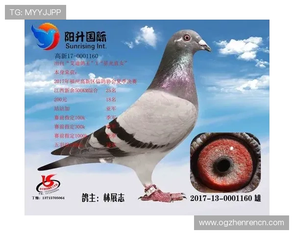 确保账号安全的AG国际厅会员登录技巧与常见问题解决方案